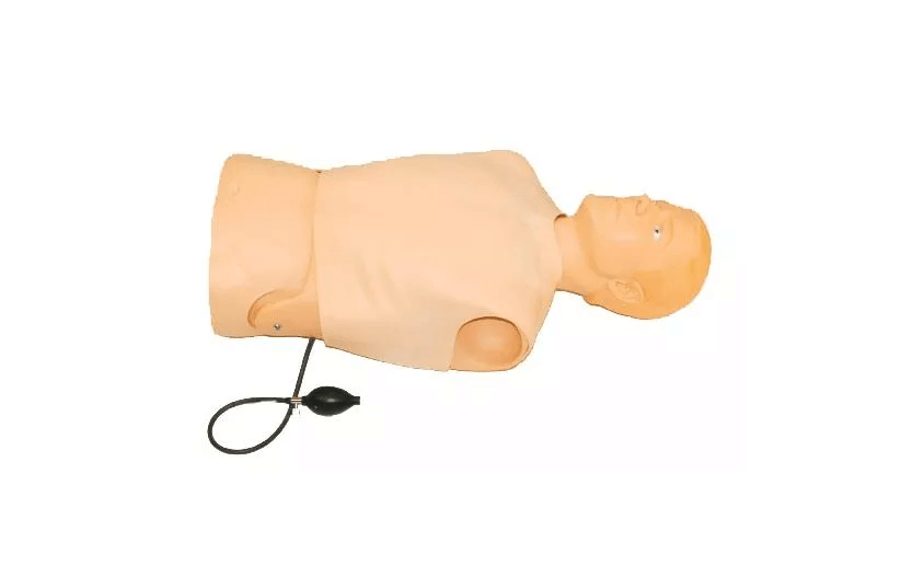 Pneumothorax Trainer - Erler - Zimmer
