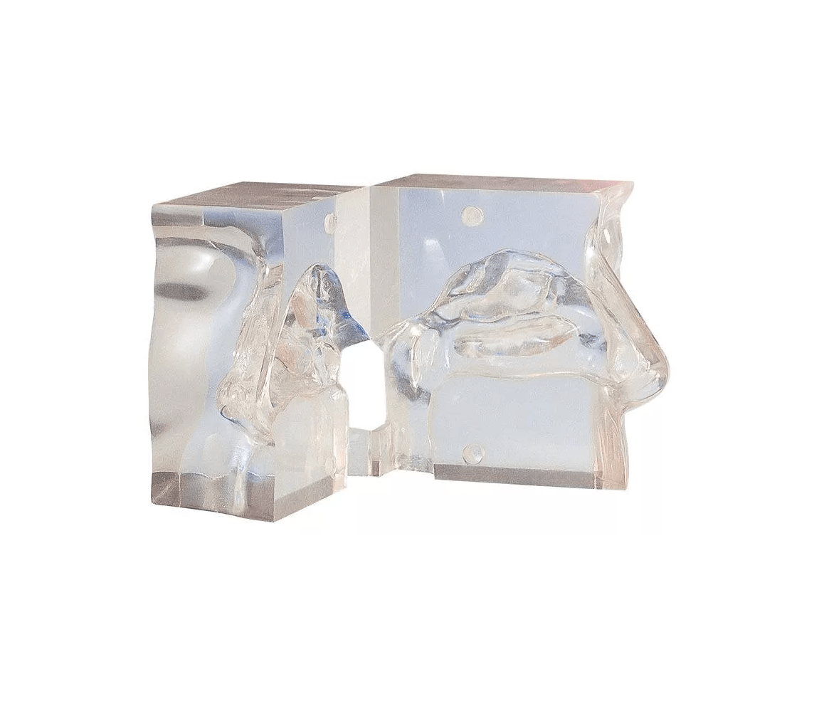 Transparentes Nasenmodell - Erler - Zimmer