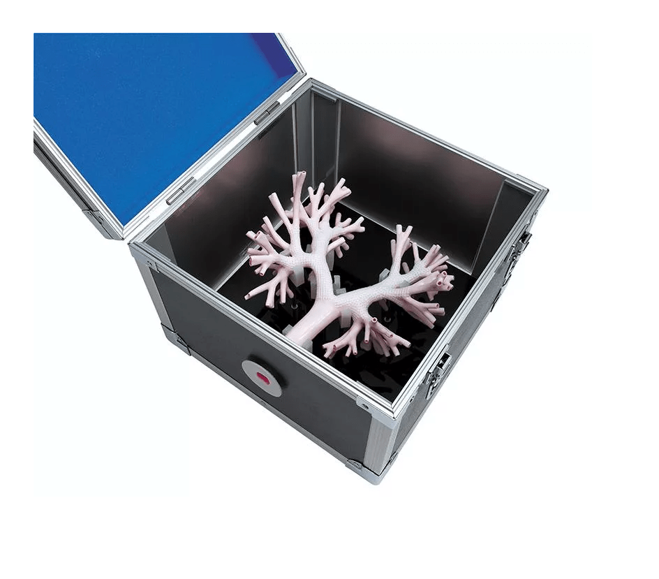 Bronchoskopietrainer - Erler - Zimmer