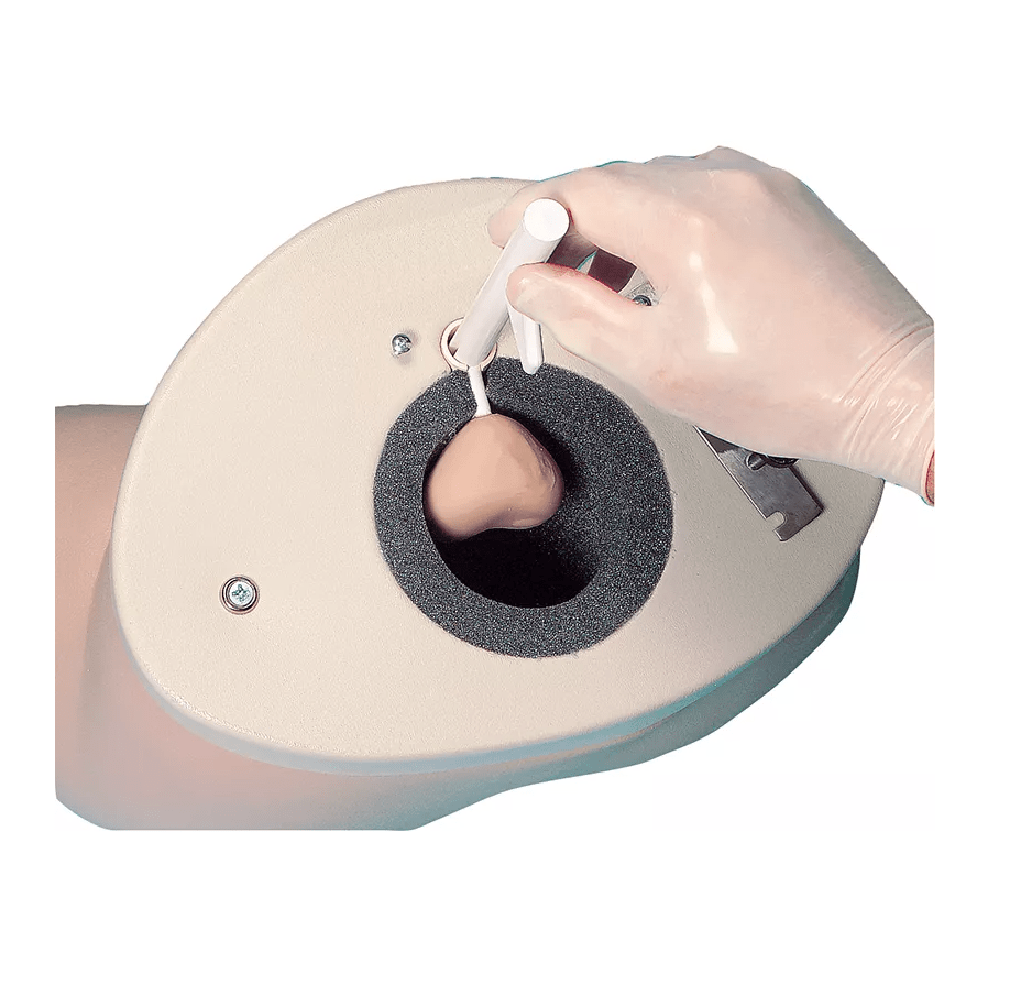 Prostatauntersuchungs - Simulator - Erler - Zimmer