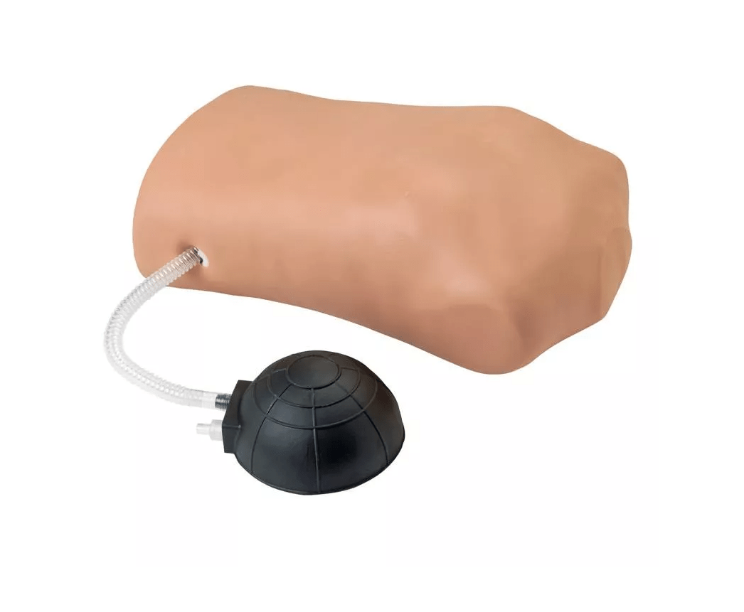 Pneumothorax - Simulator - Erler - Zimmer