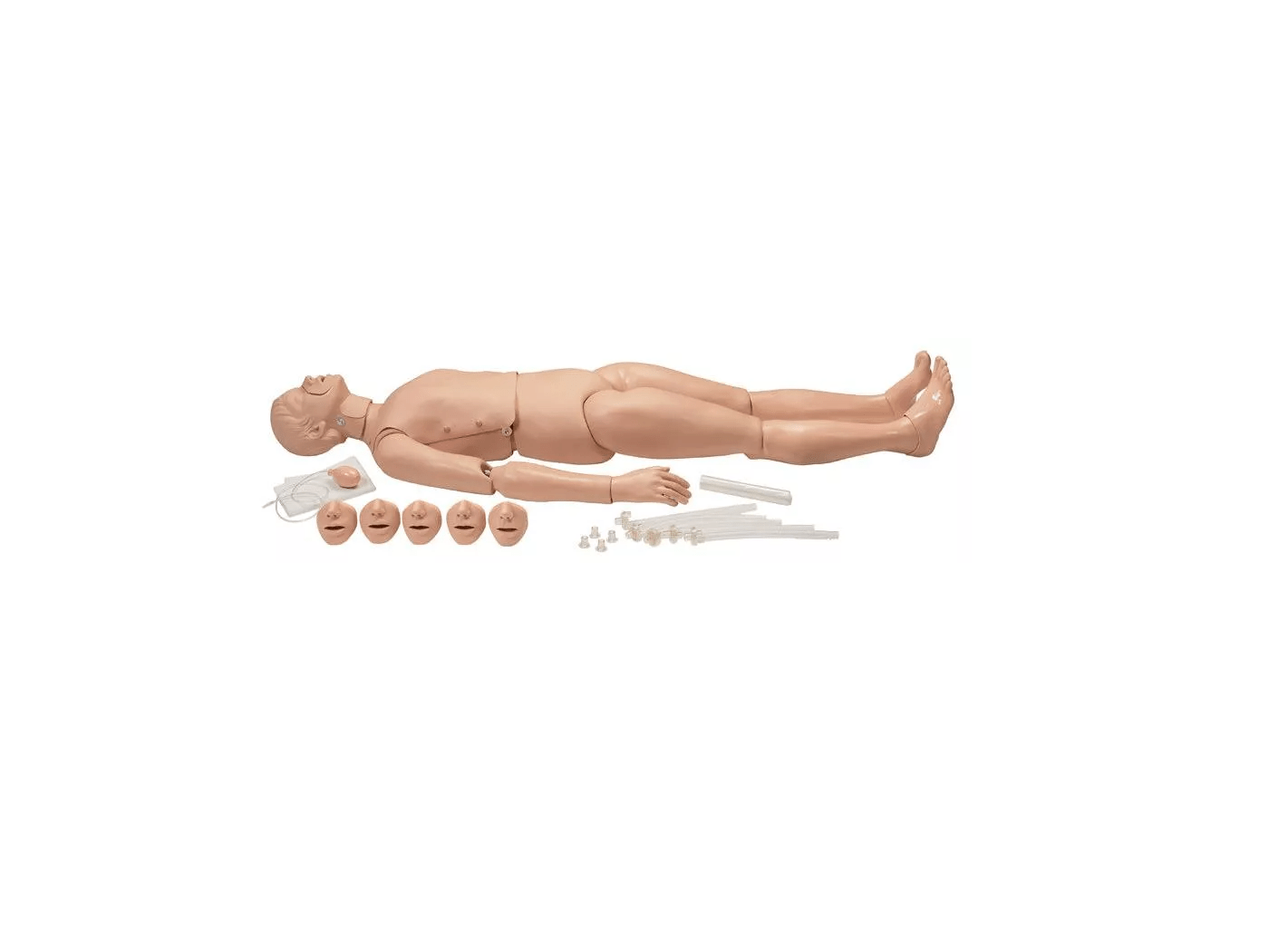 Ganzkörper - HLW - Rettungspuppe - Erler - Zimmer