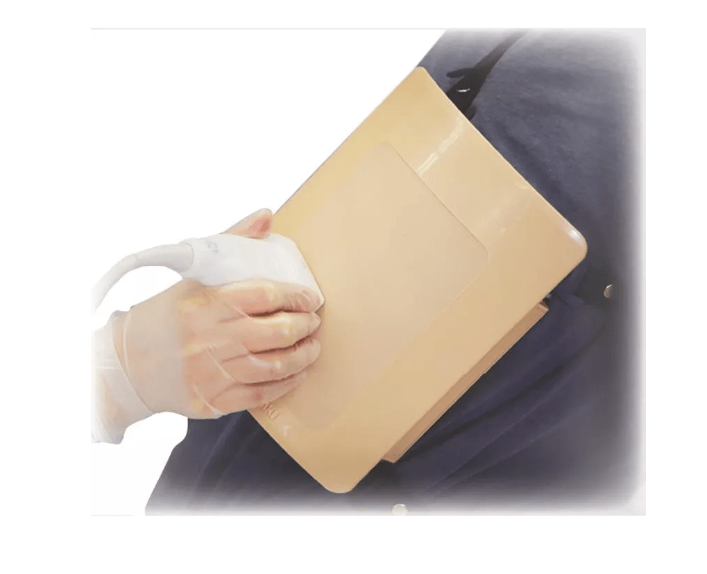 Simulator für Ultraschall – gestützte Thorakozentese - Umschnallset - Erler - Zimmer