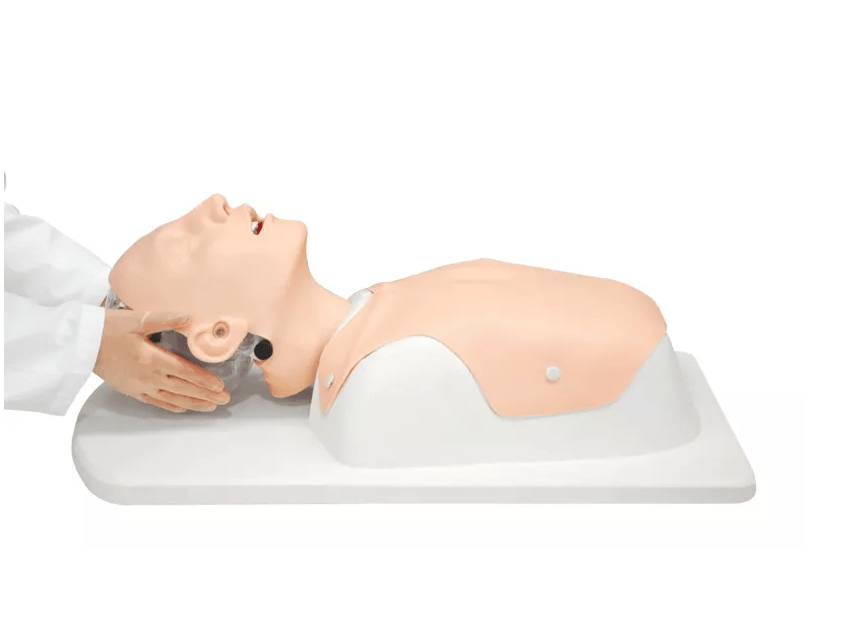 Simulator schwieriges Atemwegsmanagement - Erler - Zimmer