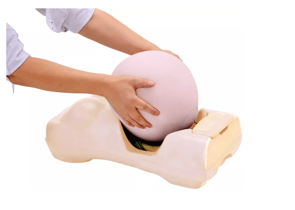 Schwangerschafts - Untersuchungs - Simulator - Erler - Zimmer