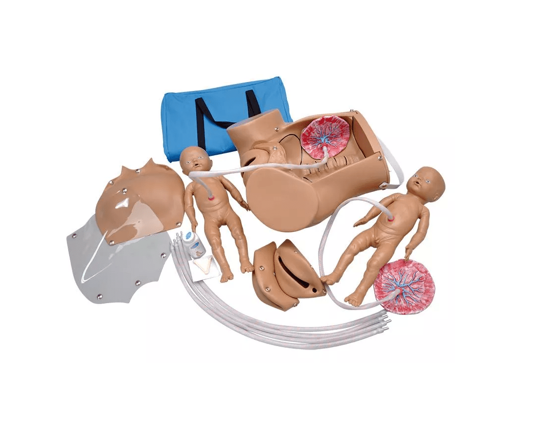 Universeller Geburtssimulator - Erler - Zimmer