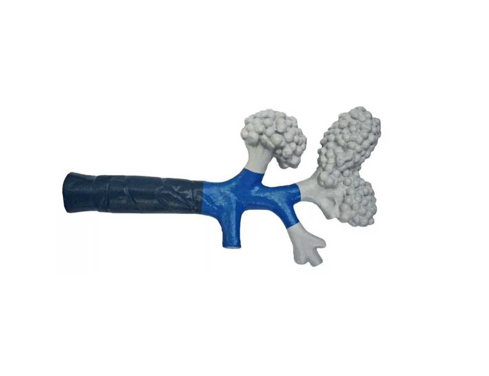 Bronchiole - Erler - Zimmer