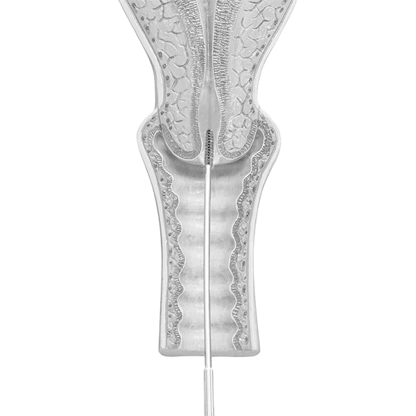 Mediwarekonische AbstrichtupferDocMed GmbH