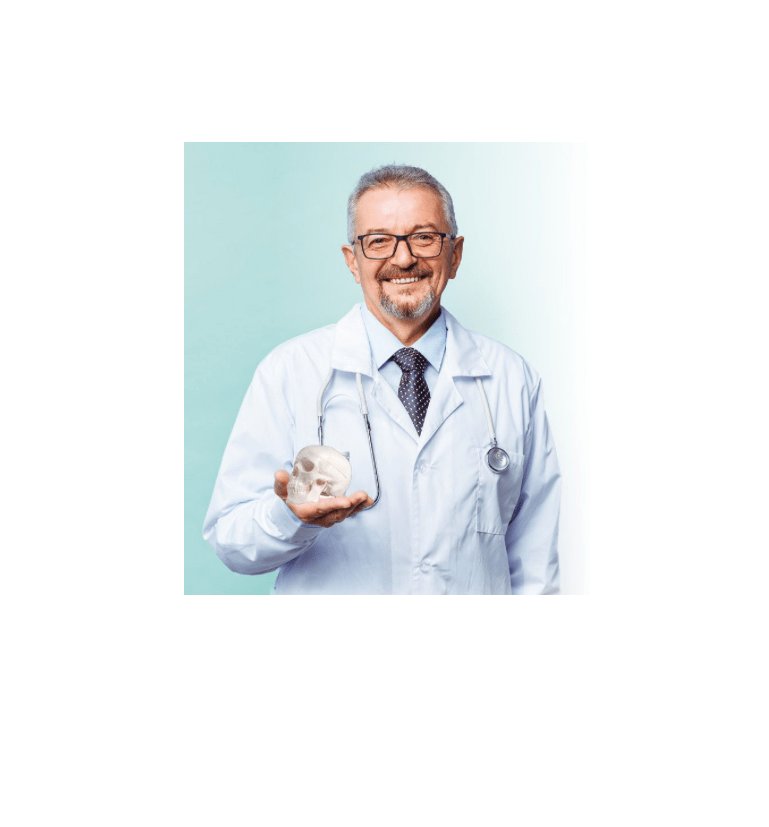 Miniatur - Schädel mit beweglichem Kiefer & Stativ – Kompaktes Anatomiemodell zur Veranschaulichung - Erler - Zimmer