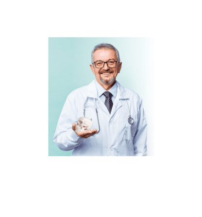 Miniatur - Schädel mit beweglichem Kiefer & Stativ – Kompaktes Anatomiemodell zur Veranschaulichung - Erler - Zimmer