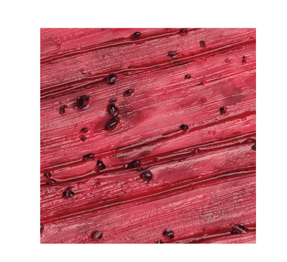 Krankenpflege - Moulagen - Kit - Erler - Zimmer