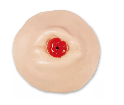 Stoma Trainer - Erler - Zimmer