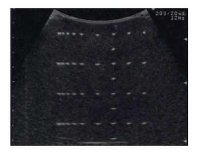 Vielzweck - Phantom - Erler - Zimmer