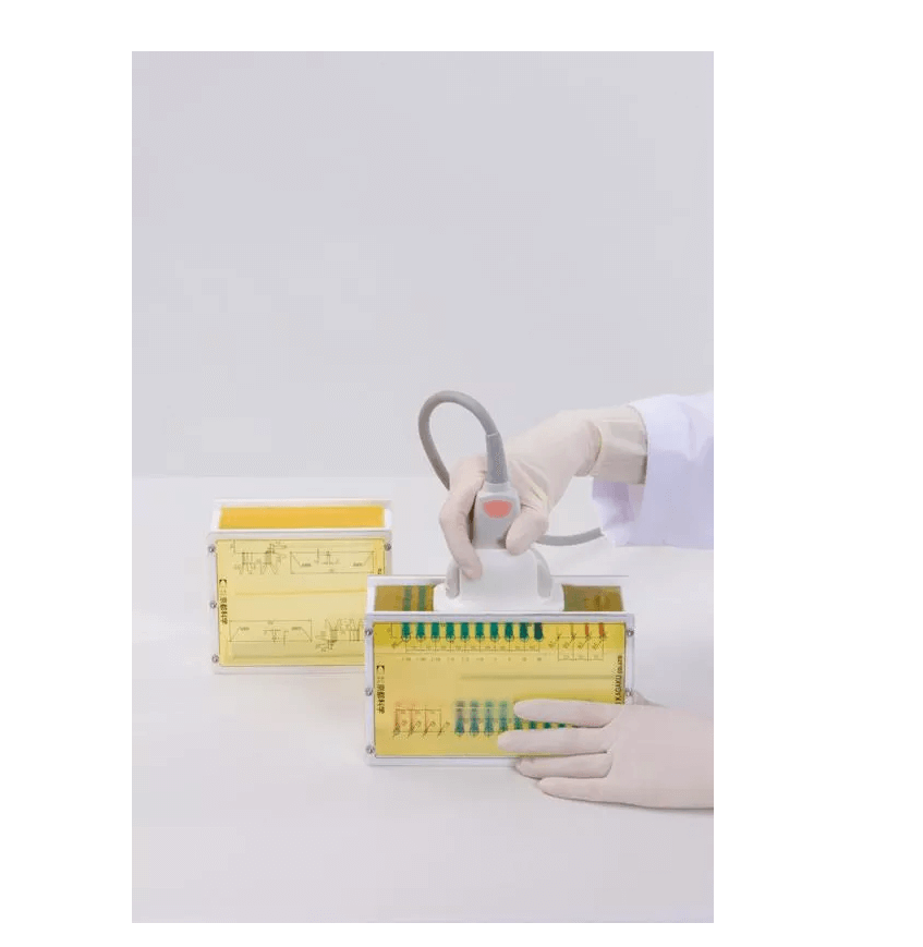 Brust - Phantom - Erler - Zimmer