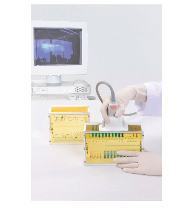 Brust - Phantom - Erler - Zimmer