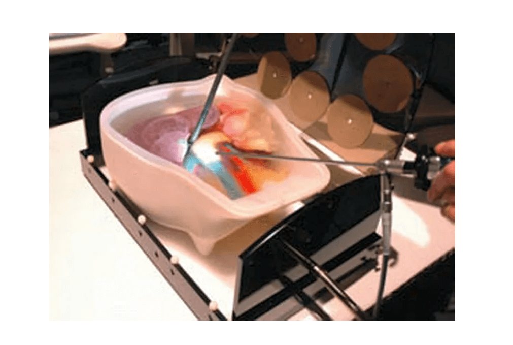 Ultraschall - Modell für Sonografie - Erler - Zimmer