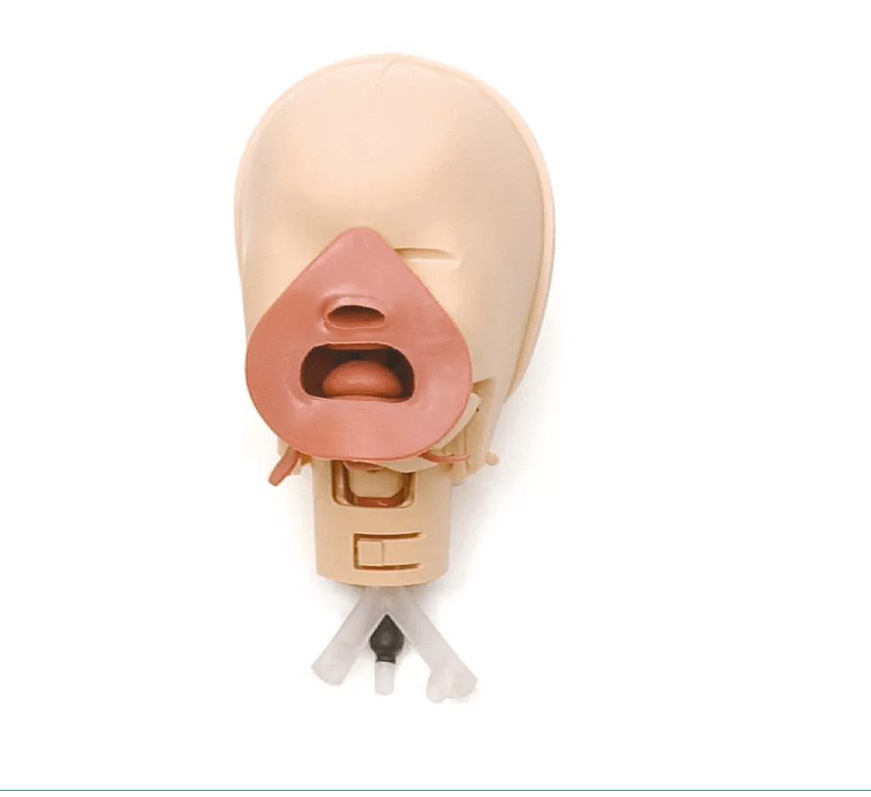 Neugeborenen Intubationstrainer - Erler - Zimmer