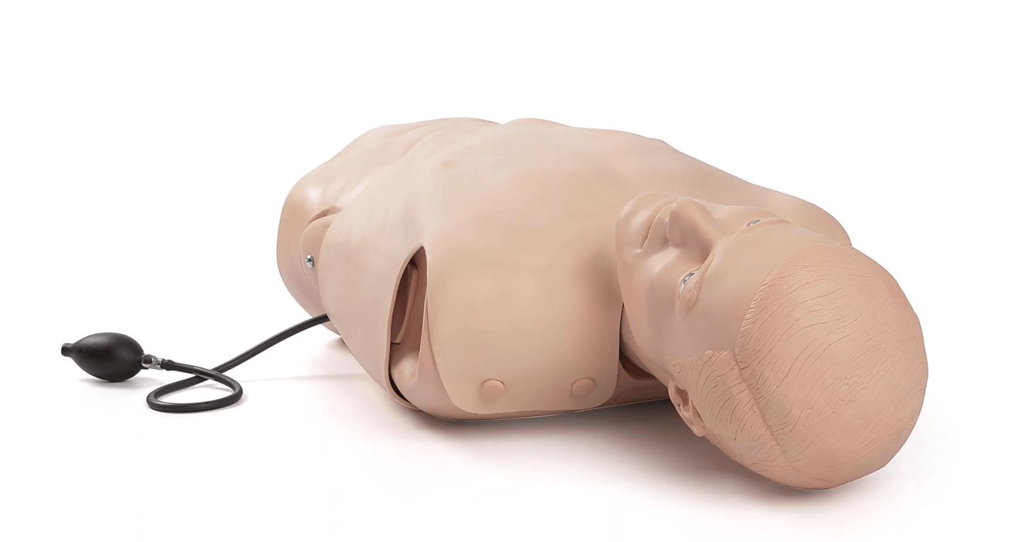 Pneumothorax Trainer - Erler - Zimmer
