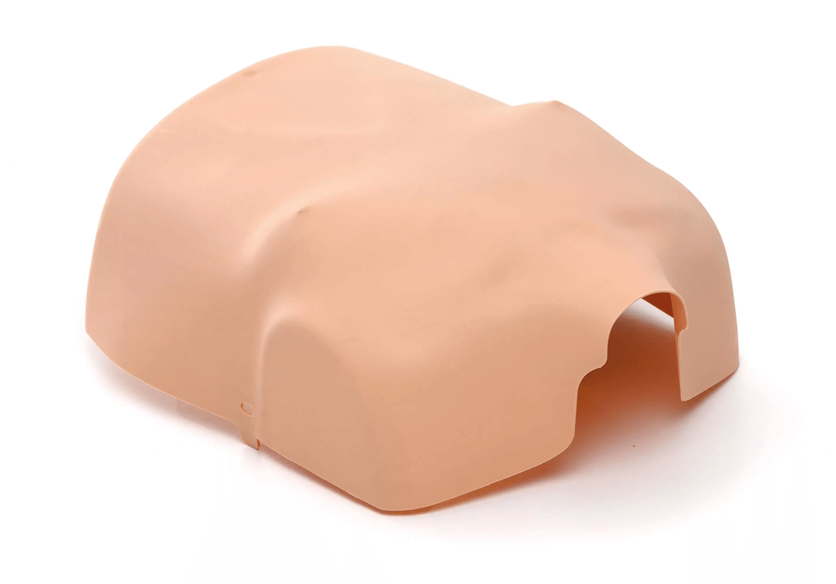 Little Anne Brusthaut - Erler - Zimmer