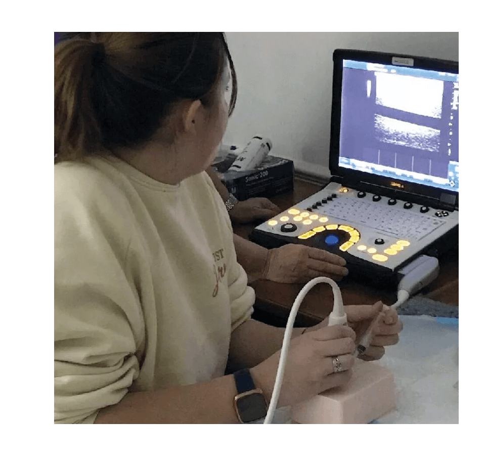 SonoEZ Ultraschalltrainer "verzweigtes Gefäß" - Erler - Zimmer