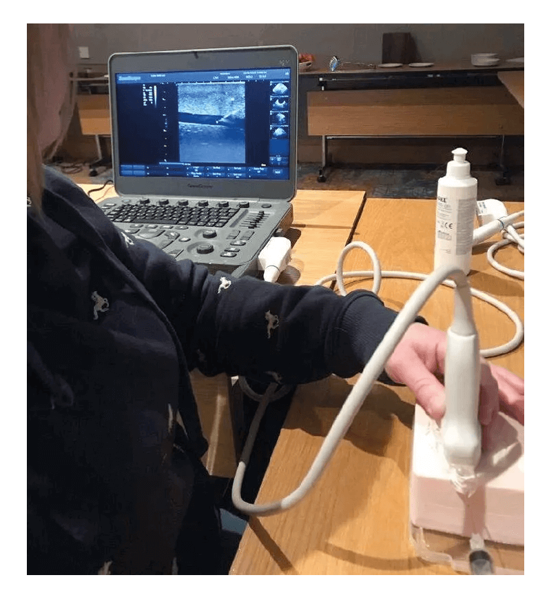 SonoEZ Ultraschalltrainer "verzweigtes Gefäß" - Erler - Zimmer