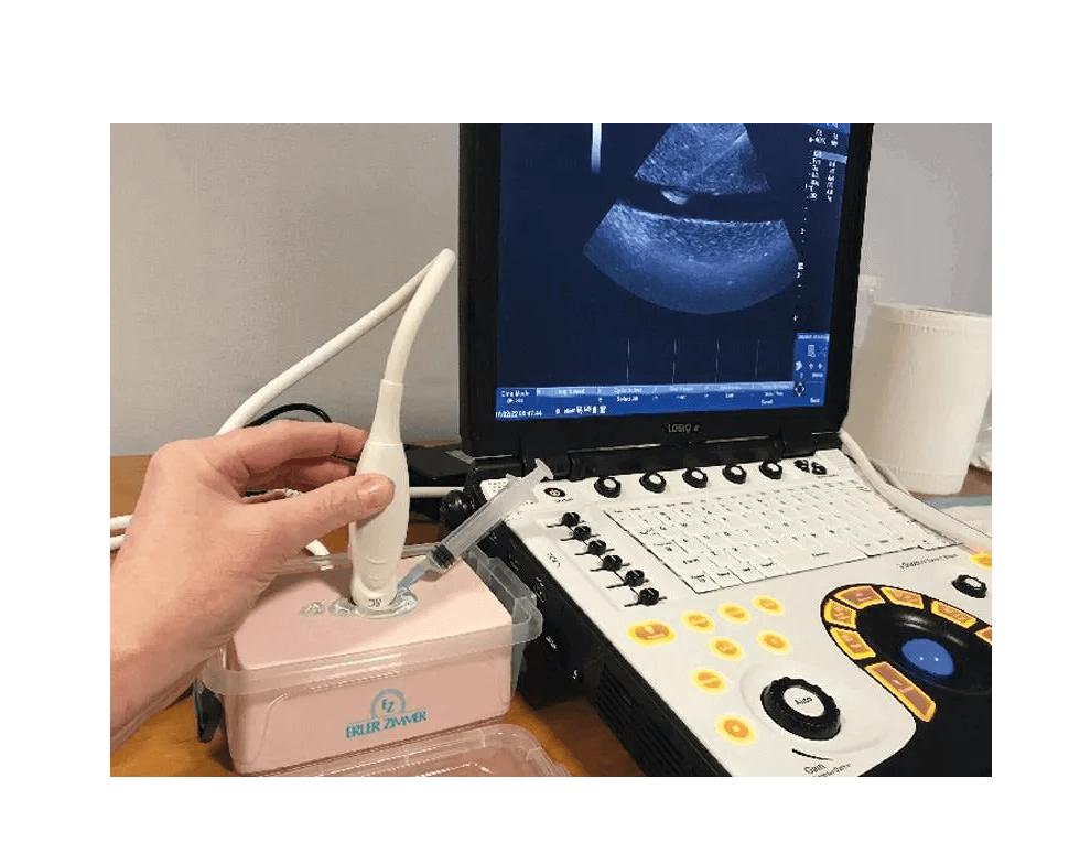 SonoEZ Ultraschalltrainer "verzweigtes Gefäß" - Erler - Zimmer