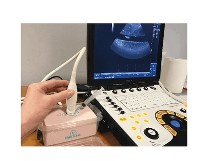 SonoEZ Ultraschalltrainer "verzweigtes Gefäß" - Erler - Zimmer