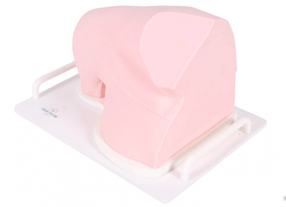 Ultraschall – Übungsmodell Schulter - Erler - Zimmer