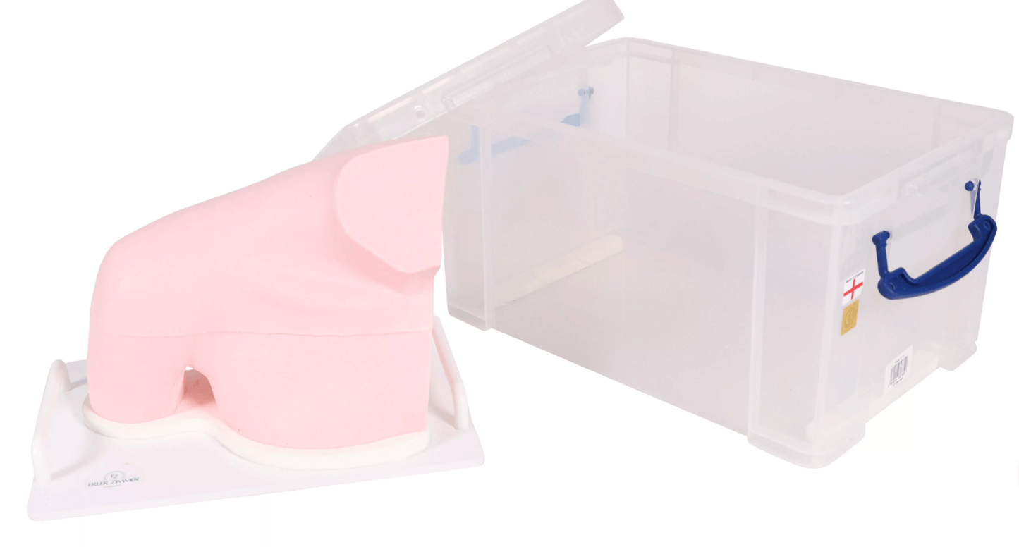 Ultraschall – Übungsmodell Schulter - Erler - Zimmer