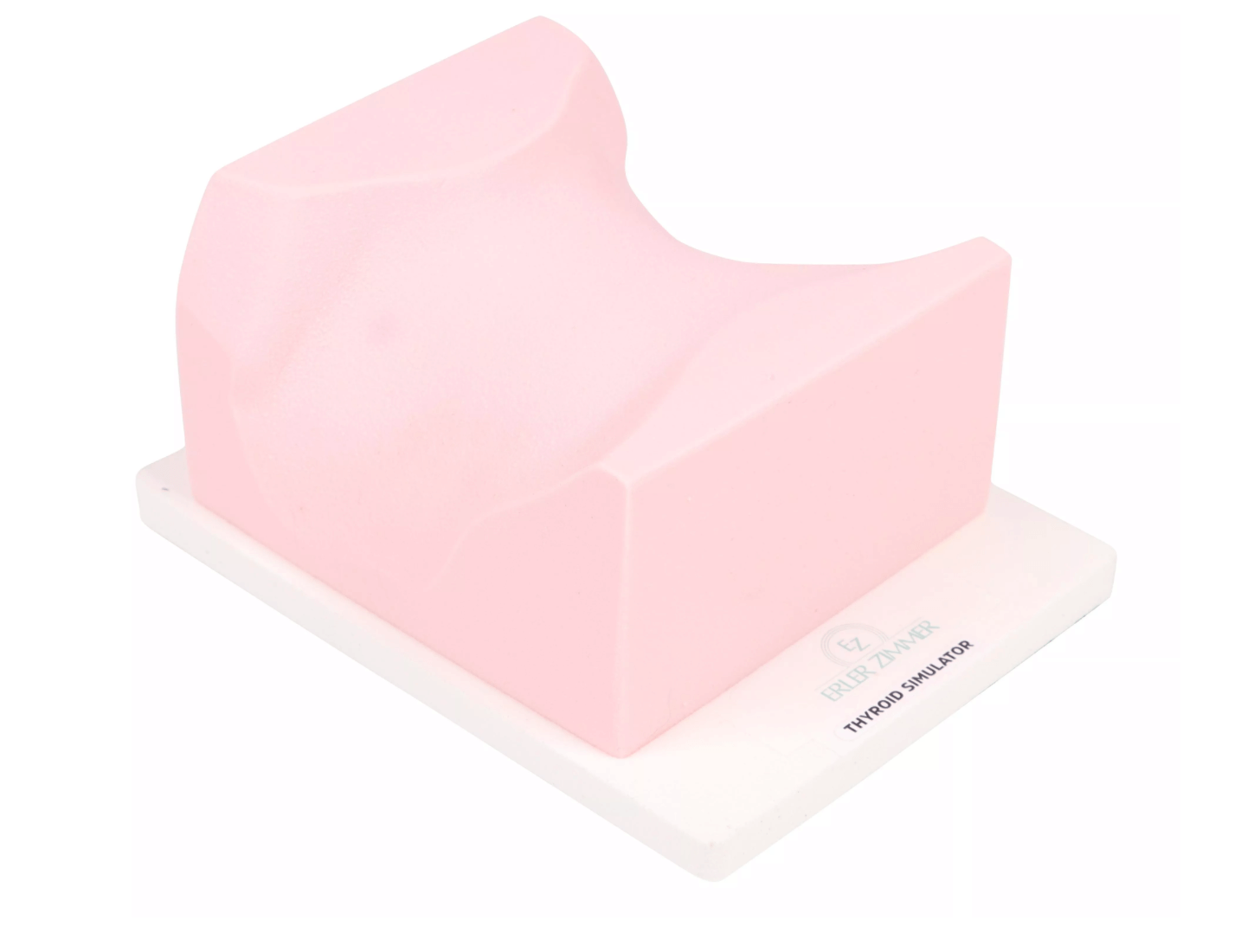 SonoEZ Ultraschalltrainer „Schilddrüse“ - Erler - Zimmer