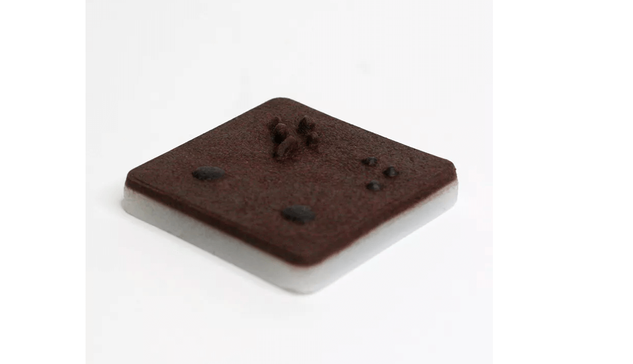 Simuliertes Gewebe mit Hautläsionen, dunkelhäutig - Erler - Zimmer