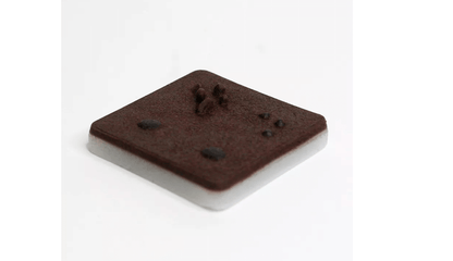 Simuliertes Gewebe mit Hautläsionen, dunkelhäutig - Erler - Zimmer