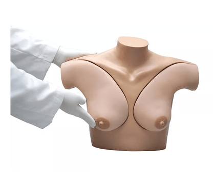 Übungsmodell Brustuntersuchung - Erler - Zimmer