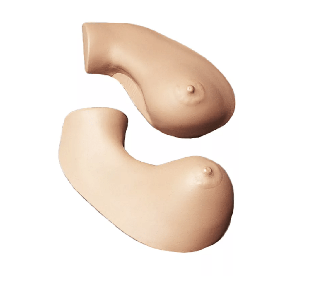 Übungsmodell Brustuntersuchung - Erler - Zimmer