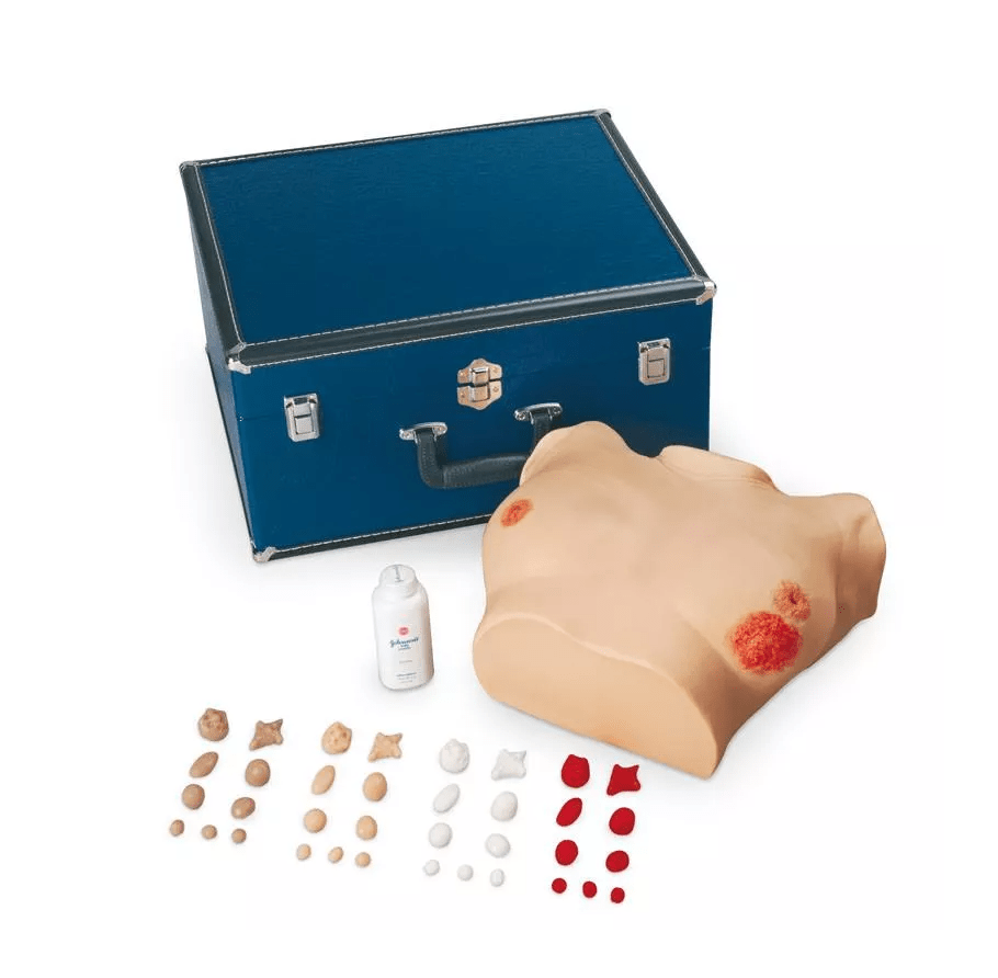 Brustuntersuchungssimulator, erweiterte Version - Erler - Zimmer