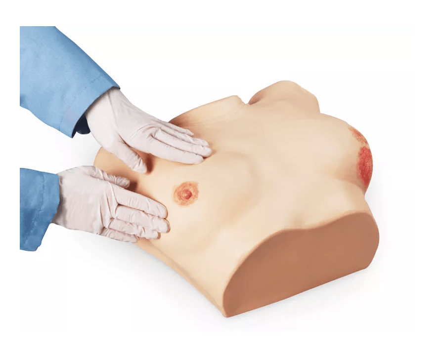 Brustuntersuchungssimulator, erweiterte Version - Erler - Zimmer