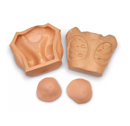 Brustuntersuchungssimulator, erweiterte Version - Erler - Zimmer