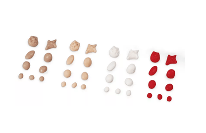 Brustuntersuchungssimulator, erweiterte Version - Erler - Zimmer