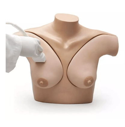 Brustphantomsimulator - Erler - Zimmer