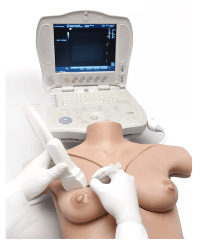 Brustphantomsimulator - Erler - Zimmer