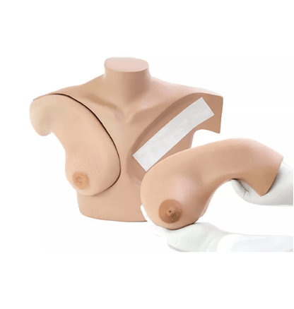 Brust - Tastuntersuchungssimulator - Erler - Zimmer