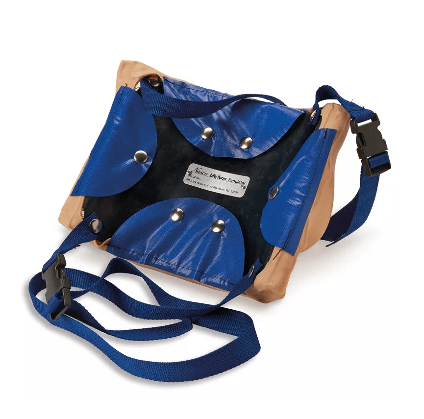 Brustmodell - Erler - Zimmer