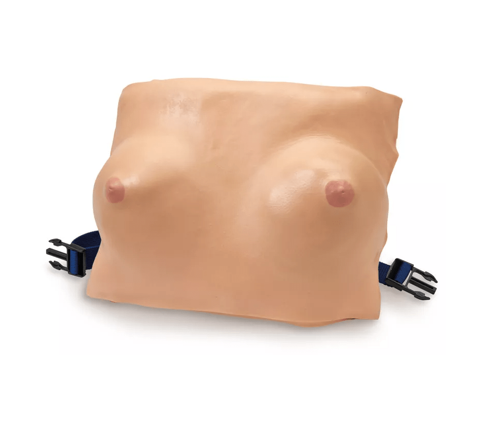 Brustmodell - Erler - Zimmer