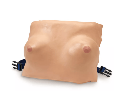 Brustmodell - Erler - Zimmer