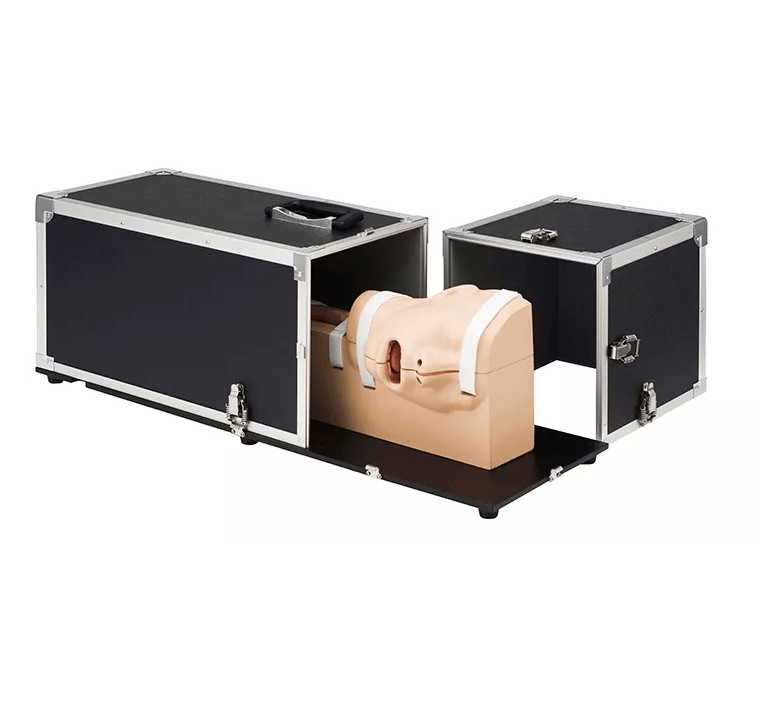 OGD - (Oesophago - Gastro - Duodenoskopie - )Simulator - Erler - Zimmer