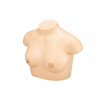 Brustkrebs - Tastmodell - Erler - Zimmer