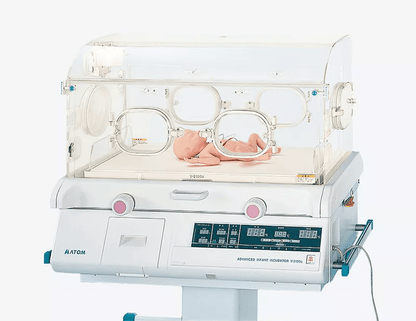 Frühgeborenenmodelle (24. & 30. SSW, männlich) - Erler - Zimmer