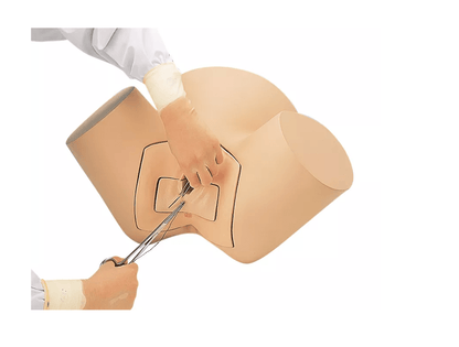 Episiotomie - Vernähungs - Simulator - Erler - Zimmer