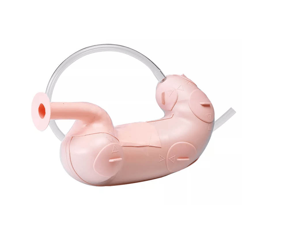 Trainer für endoskopische Submukosadissektion (ESD) - Erler - Zimmer