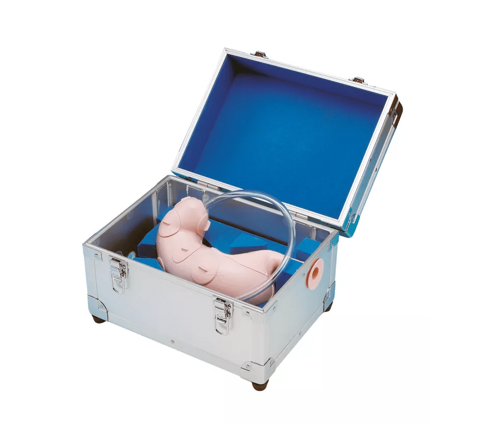 Trainer für endoskopische Submukosadissektion (ESD) - Erler - Zimmer